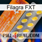 Filagra FXT new05